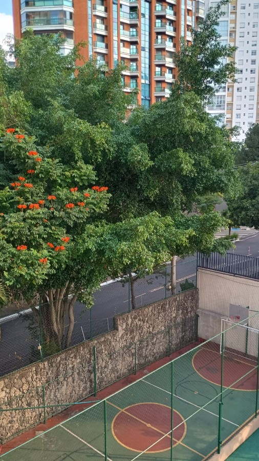 Apartamento, 3 quartos - Foto 4